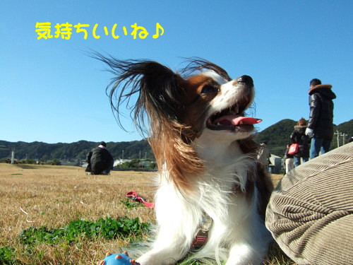 c0044199_0533.jpg