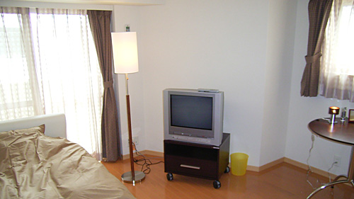 a0105802_16478.jpg