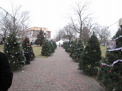 e0109202_1265113.jpg