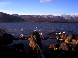 c0150209_23352211.jpg