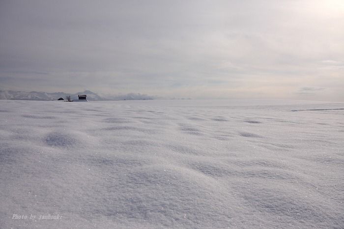 f0139911_2062140.jpg