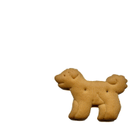 f0152412_4425135.gif