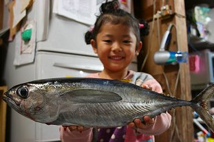 奄美島豚と鶏胸肉ハムの仕込み_c0150917_22594738.jpg