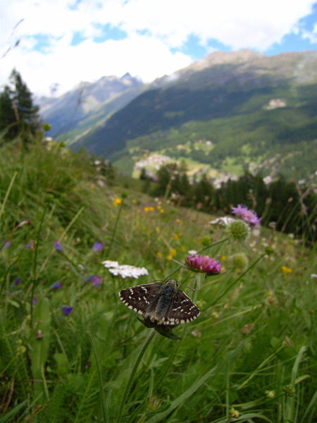 d0054625_21101194.jpg