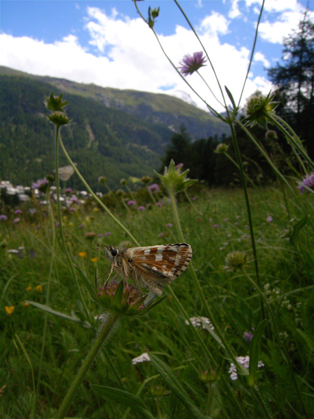 d0054625_21102614.jpg