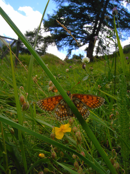 d0054625_21563336.jpg