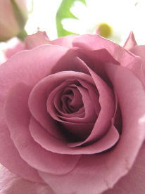 f0054025_7464865.jpg