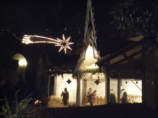 a0059032_20131515.jpg