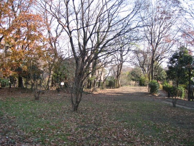 b0088037_9393466.jpg