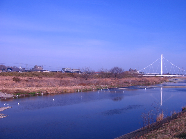 b0088037_9411150.jpg
