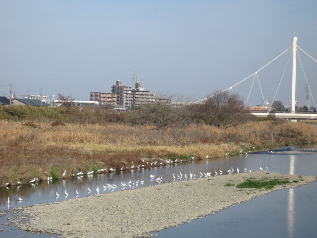 b0088037_944599.jpg