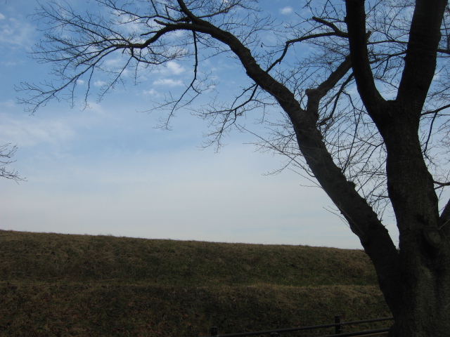 b0088037_9485737.jpg