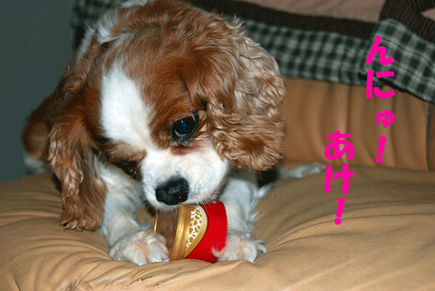 c0136838_110245.gif