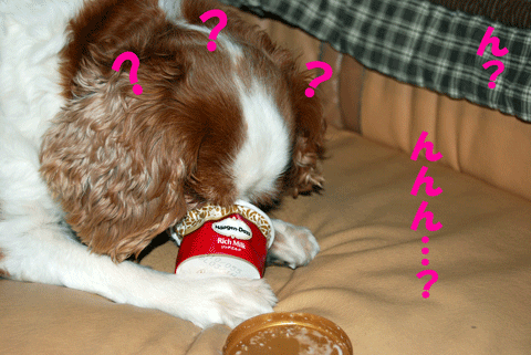c0136838_1172599.gif