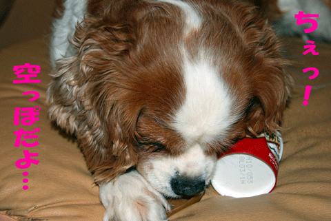 c0136838_118157.gif