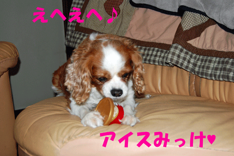 c0136838_155316.gif