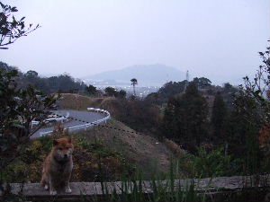 a0054240_22453640.jpg