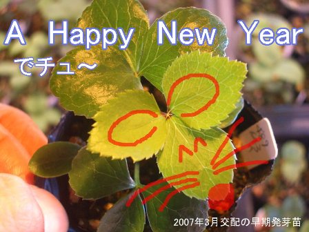c0025140_17141313.jpg