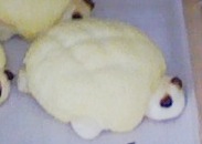 f0111747_16434211.jpg