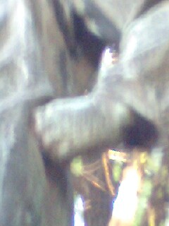 f0037553_11281329.jpg