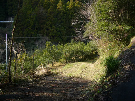 オーベルジュ土佐山近くの遊歩道_f0067354_19383736.jpg