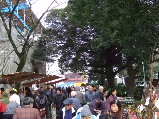 e0009760_1105461.jpg