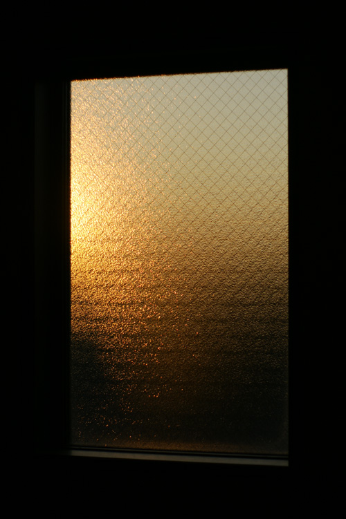 f0063686_20253446.jpg