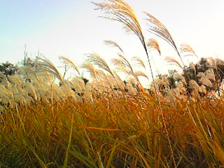 b0050787_215230100.jpg