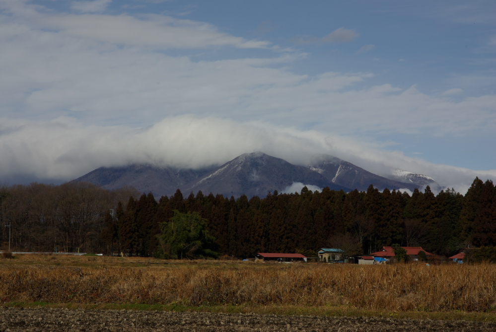 暮れの雨_f0137288_15544497.jpg