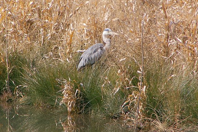 e0070891_17444041.jpg