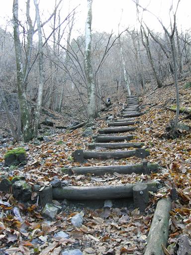 平日の山を歩く　棒の折山（棒の嶺）_b0116703_2343468.jpg