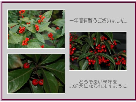 今年も有難うございました。_c0051105_029919.jpg