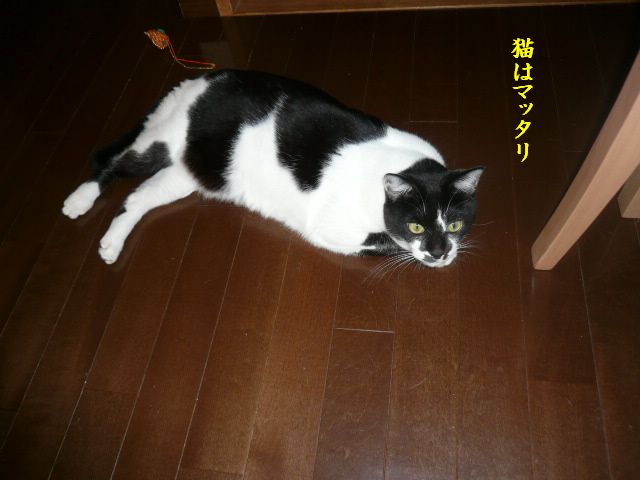 e0094407_225811.jpg