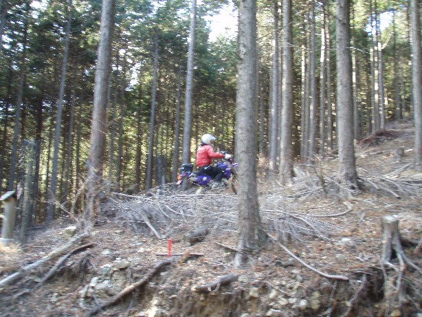e0118908_19202.jpg