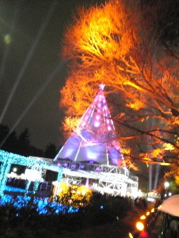 c0109109_2263444.jpg