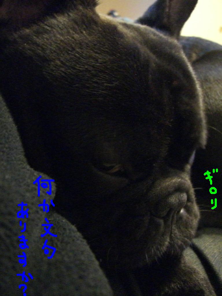 c0113109_2005125.jpg