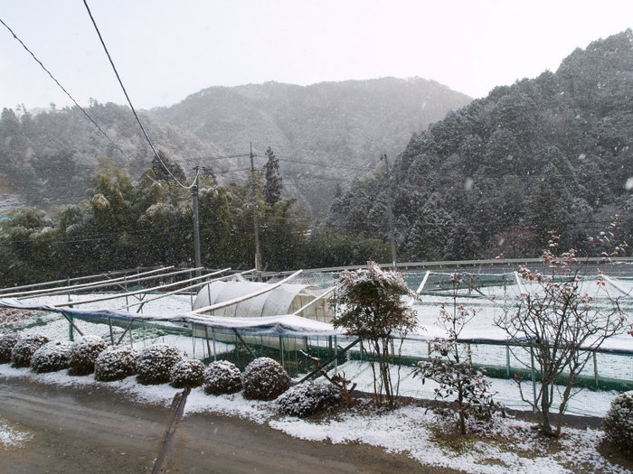 雪景色♪_c0116915_14173477.jpg
