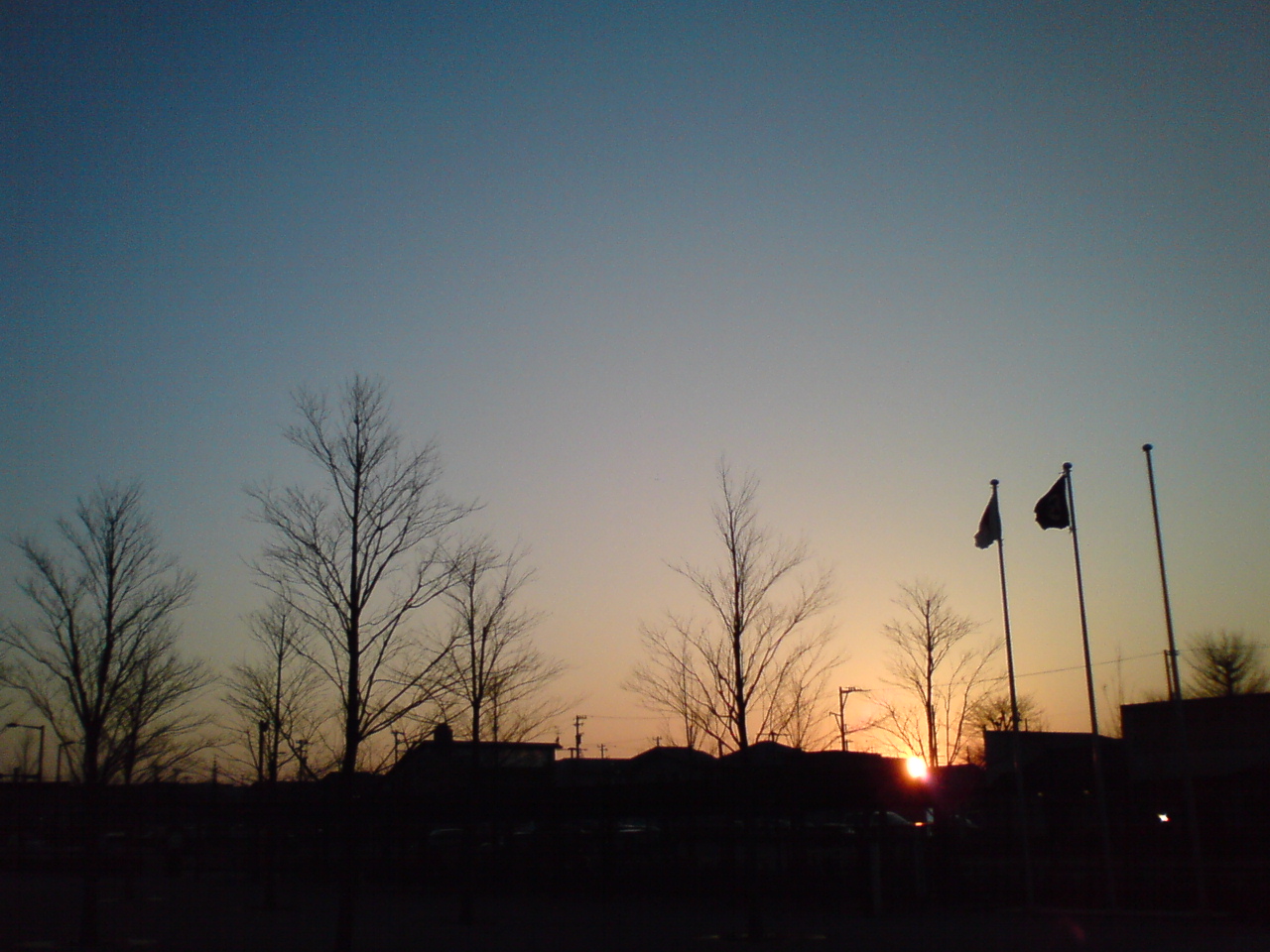 c0003723_84215.jpg