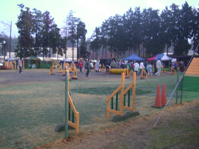 c0123029_2348241.jpg