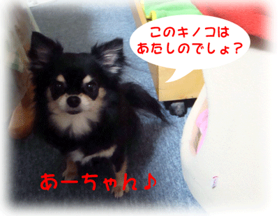 b0078030_040211.gif