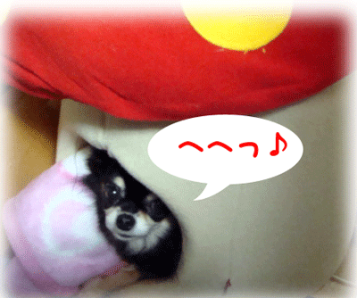 b0078030_0403622.gif