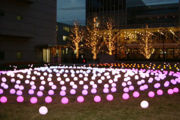 c0130634_05265.jpg