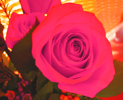 f0038336_14203910.jpg