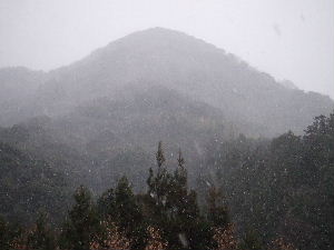 初雪_a0054240_17495284.jpg