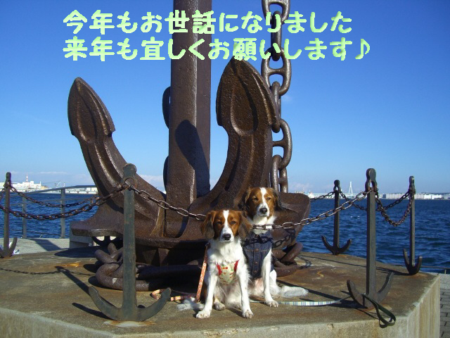 f0080745_23332189.jpg