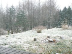 雪です!_f0019247_11153936.jpg