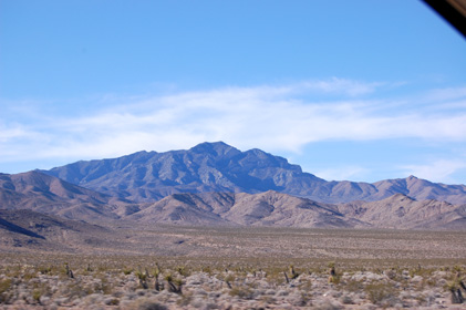 d0114149_350839.jpg