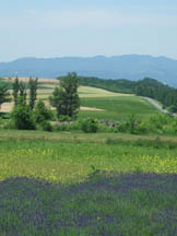c0097856_10283232.jpg