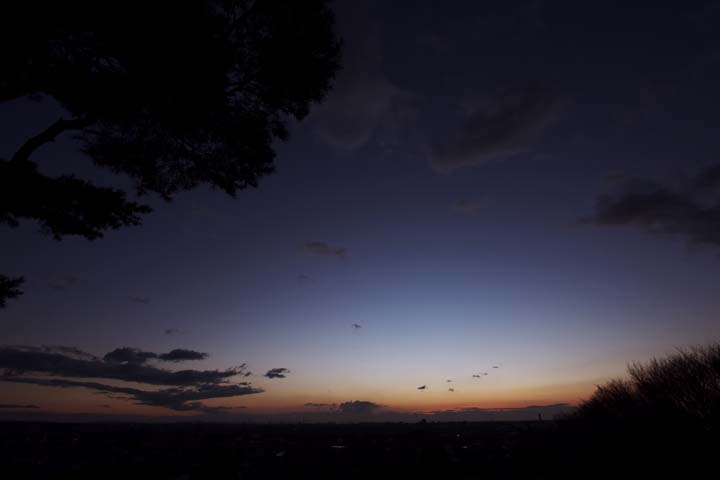 e0067463_858695.jpg