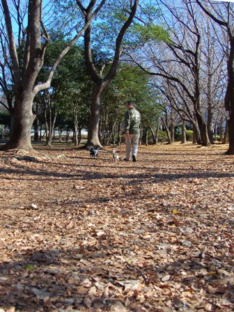 f0065768_23103136.jpg